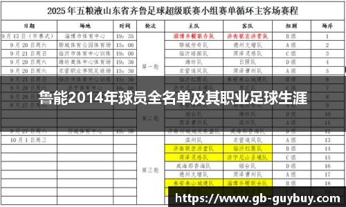 鲁能2014年球员全名单及其职业足球生涯